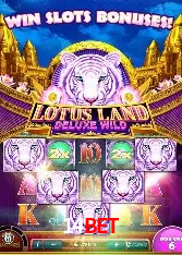 Estatísticas do Jogo 14bet